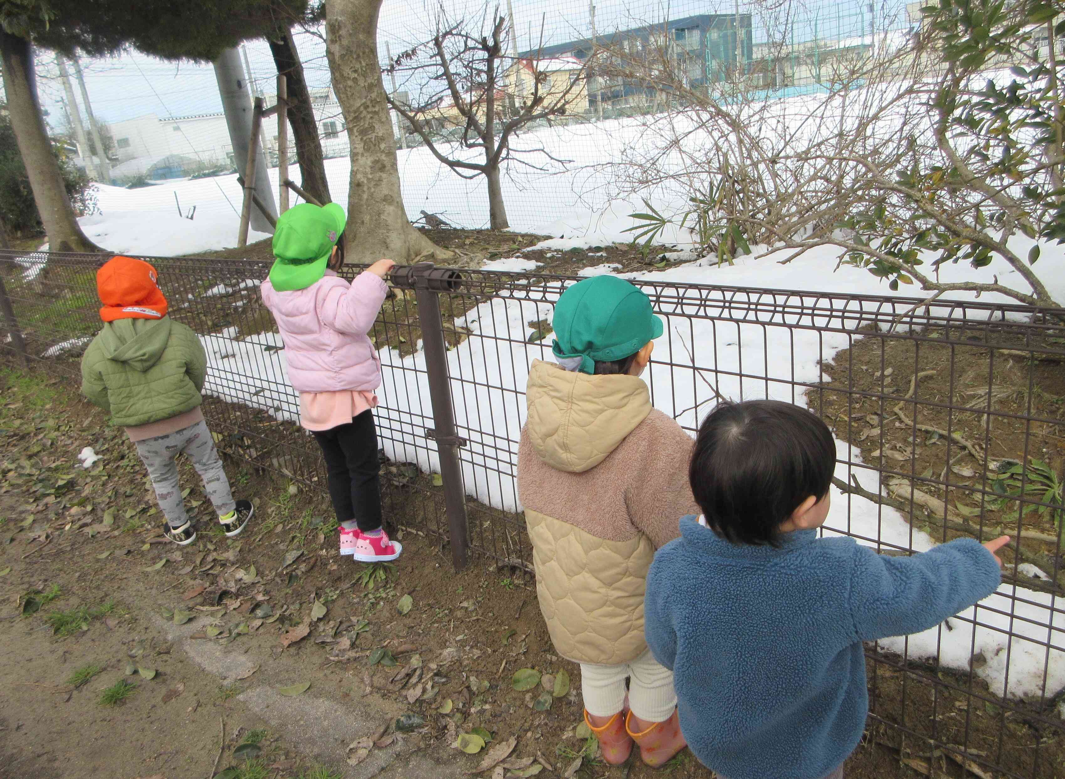 何かを見つけたようです…