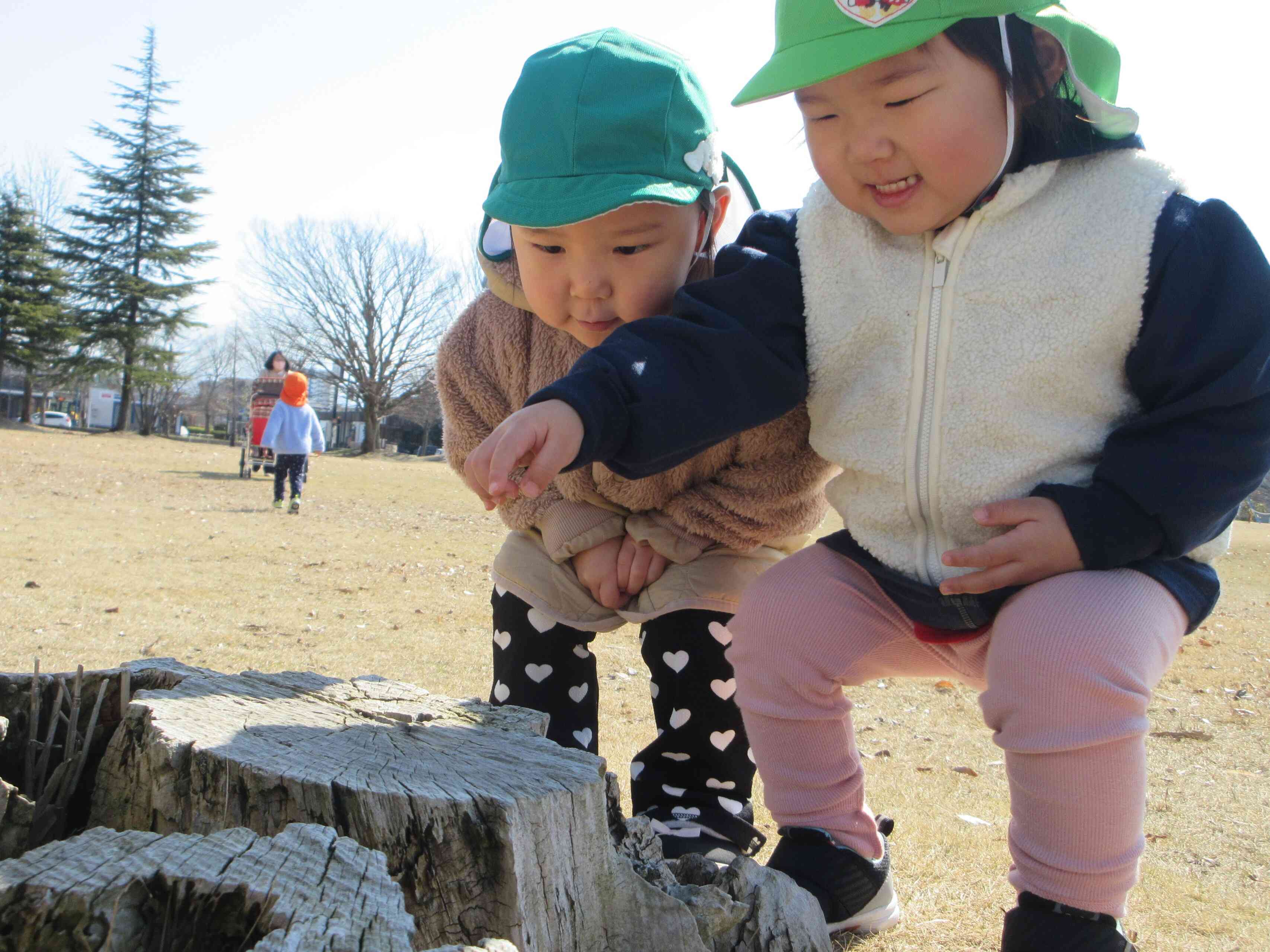 は～るよ来い！は～やく来い！