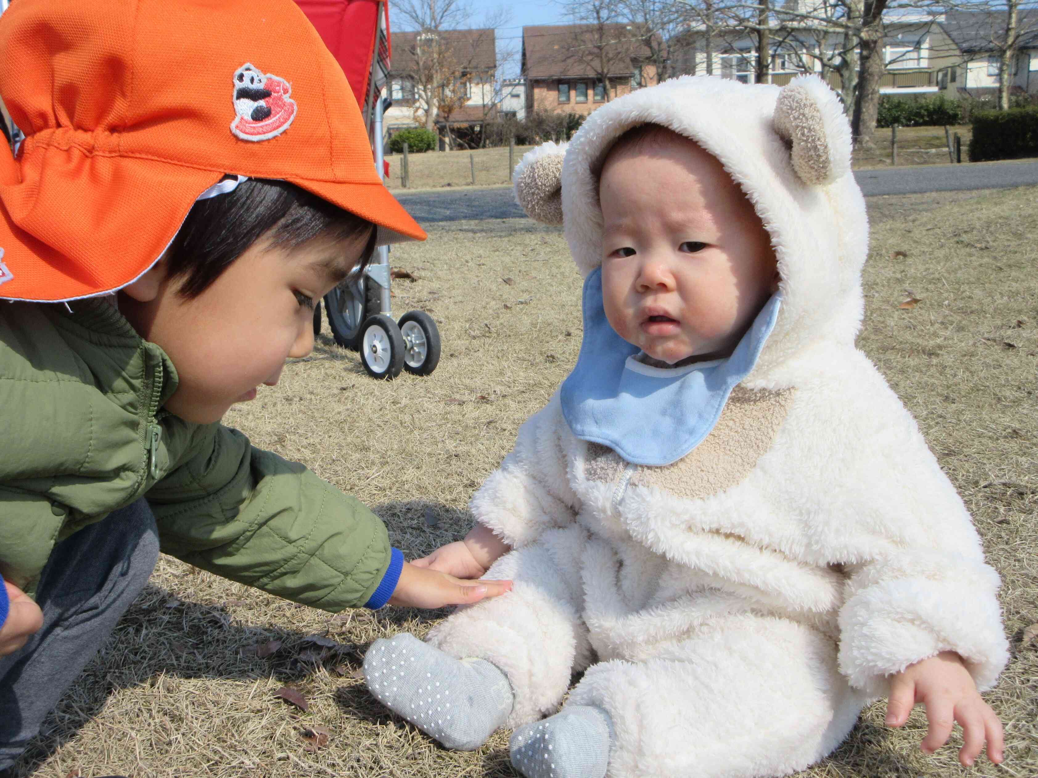 芝生にお座り、嬉しいな♡