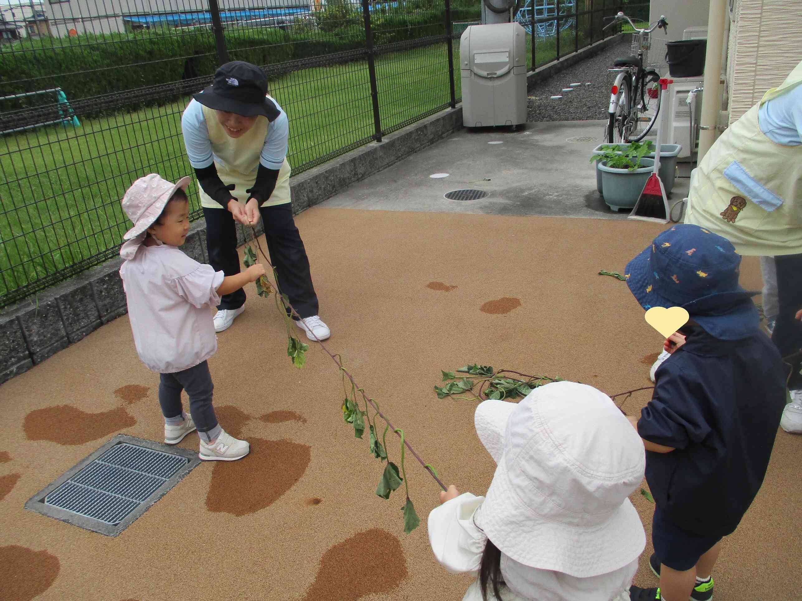 いもほりの後は、さつまいものつるで遊びました。