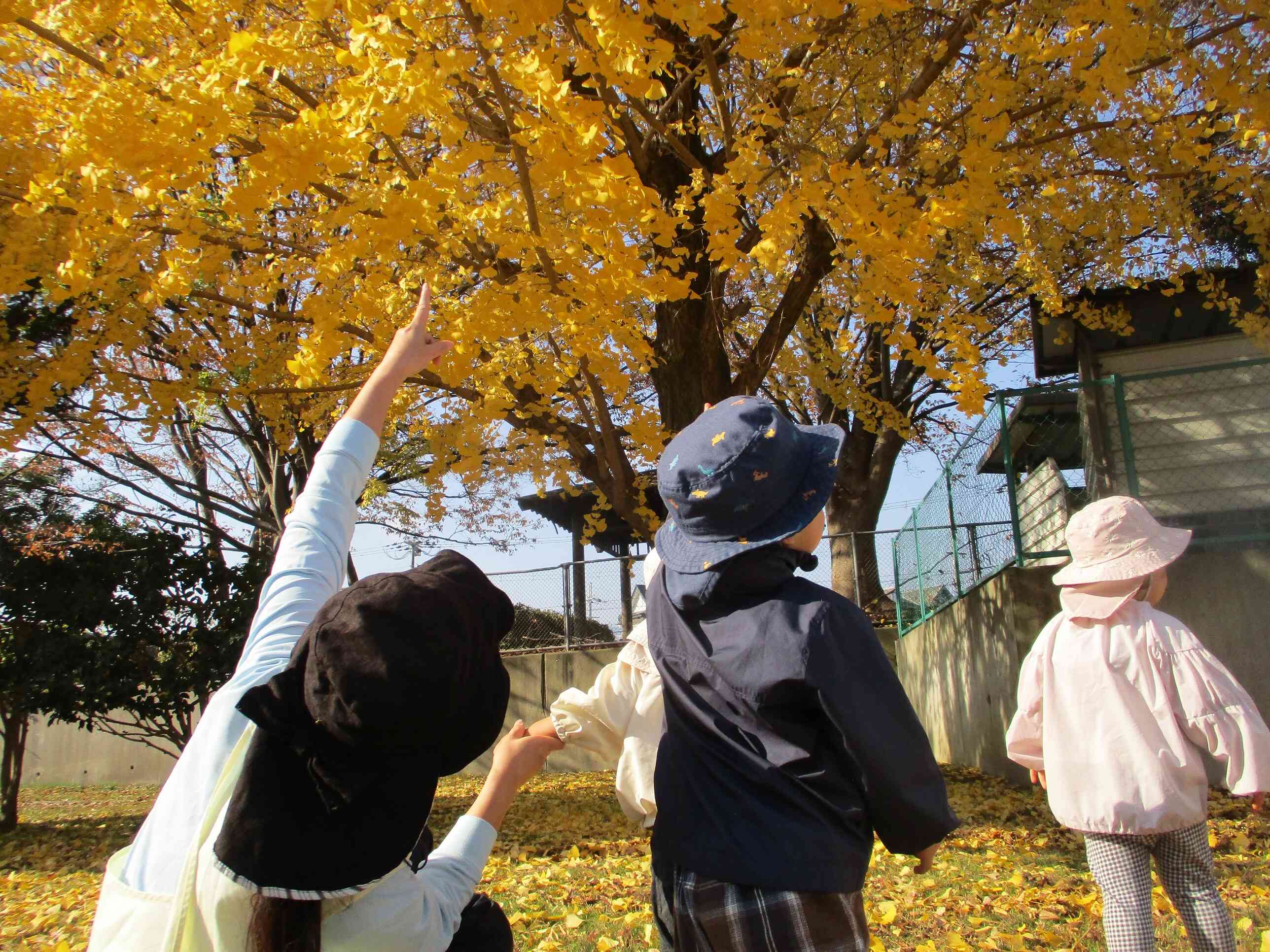 おたのしみ会（紅葉狩り）