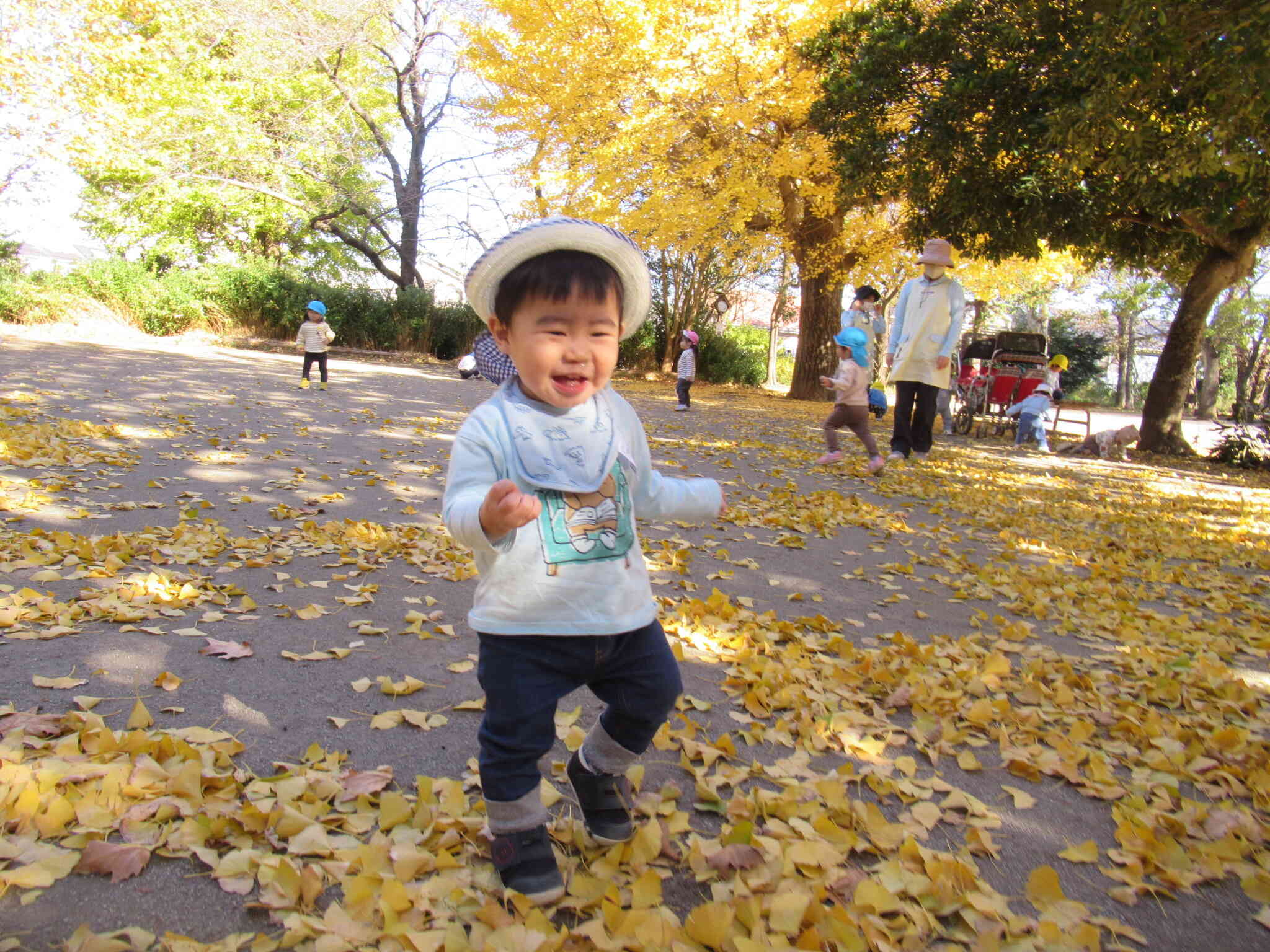 黄色いじゅうたんをお散歩中♪