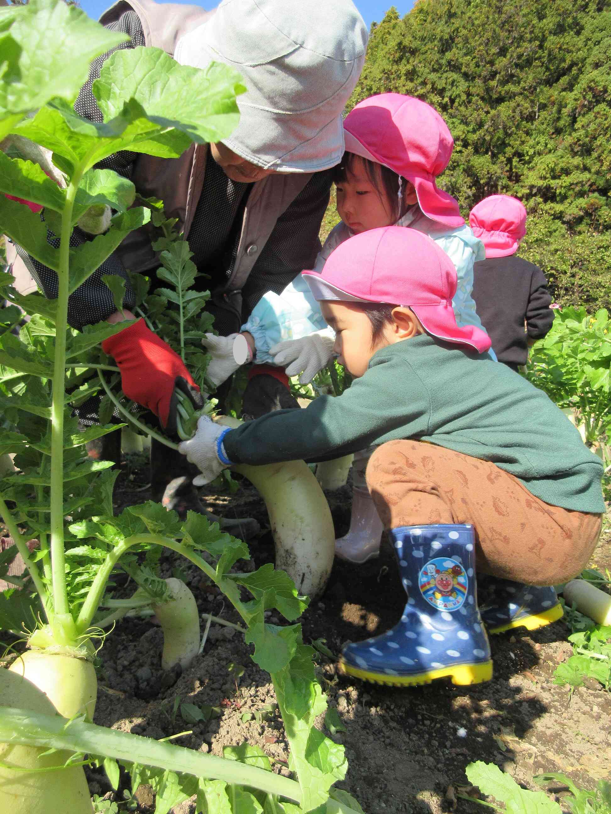 地域の方と一緒に…