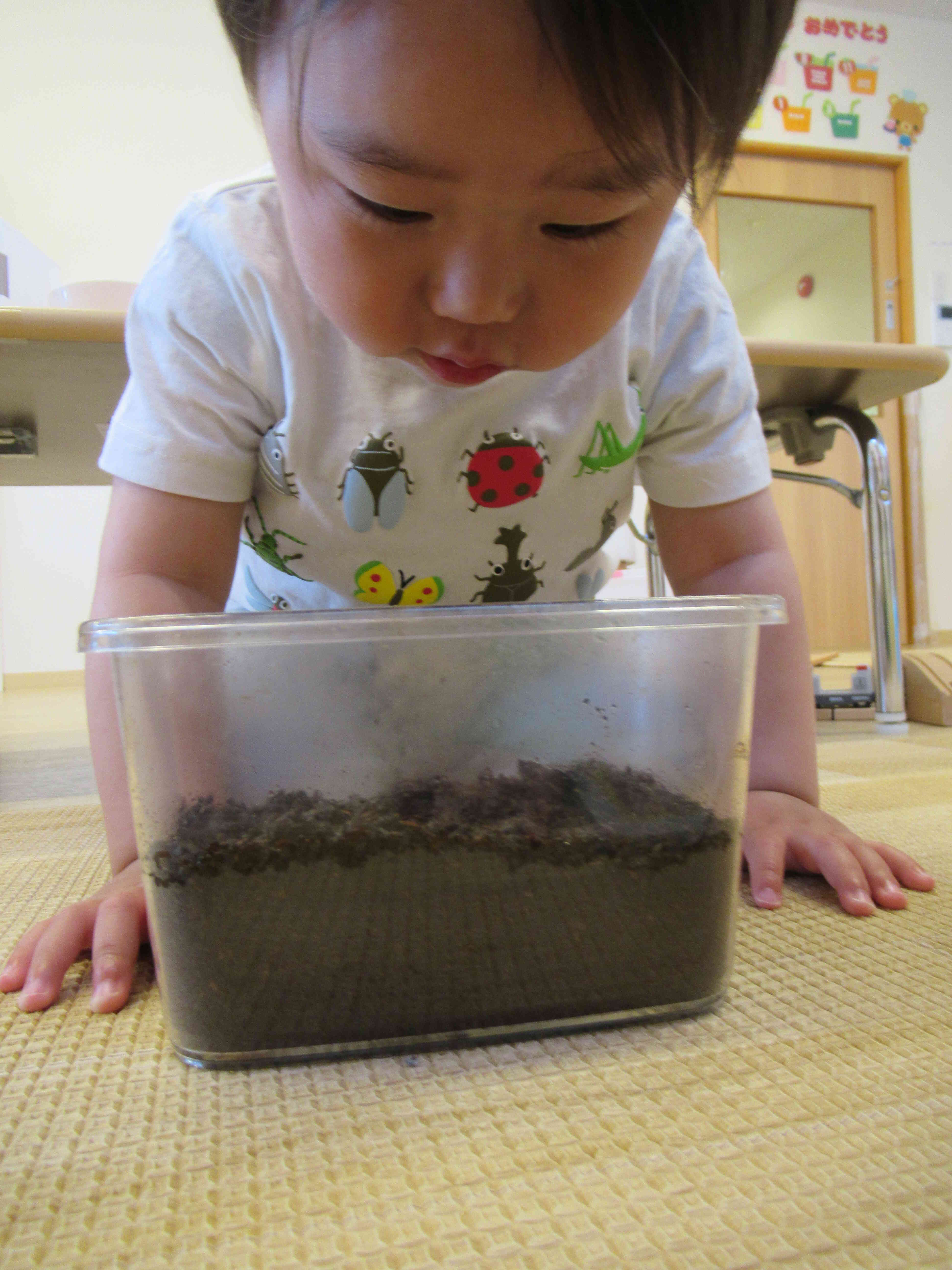 長い時間じーっと幼虫を見つめていたお友だち。