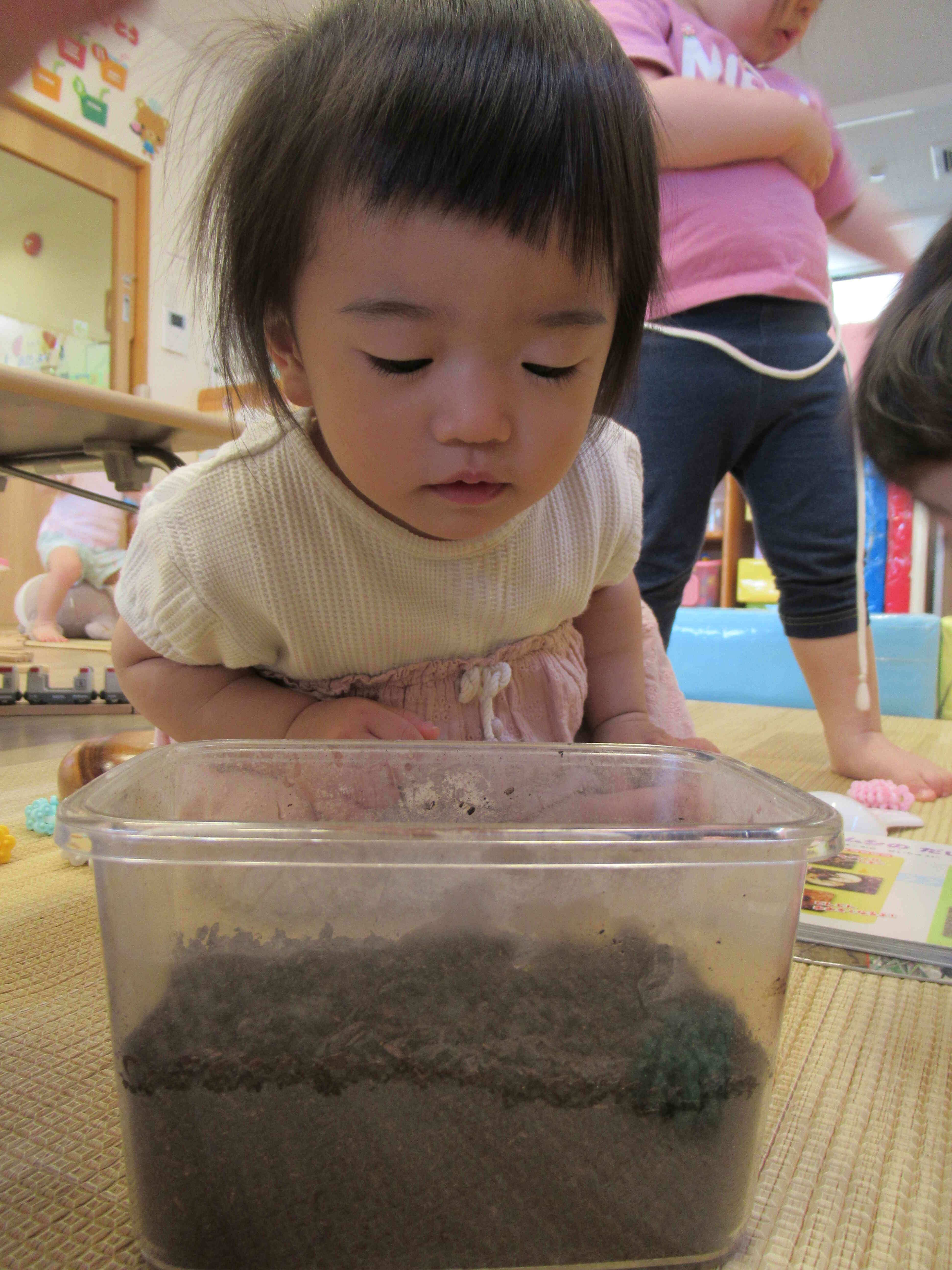 土に潜っていく様子にも興味津々です。