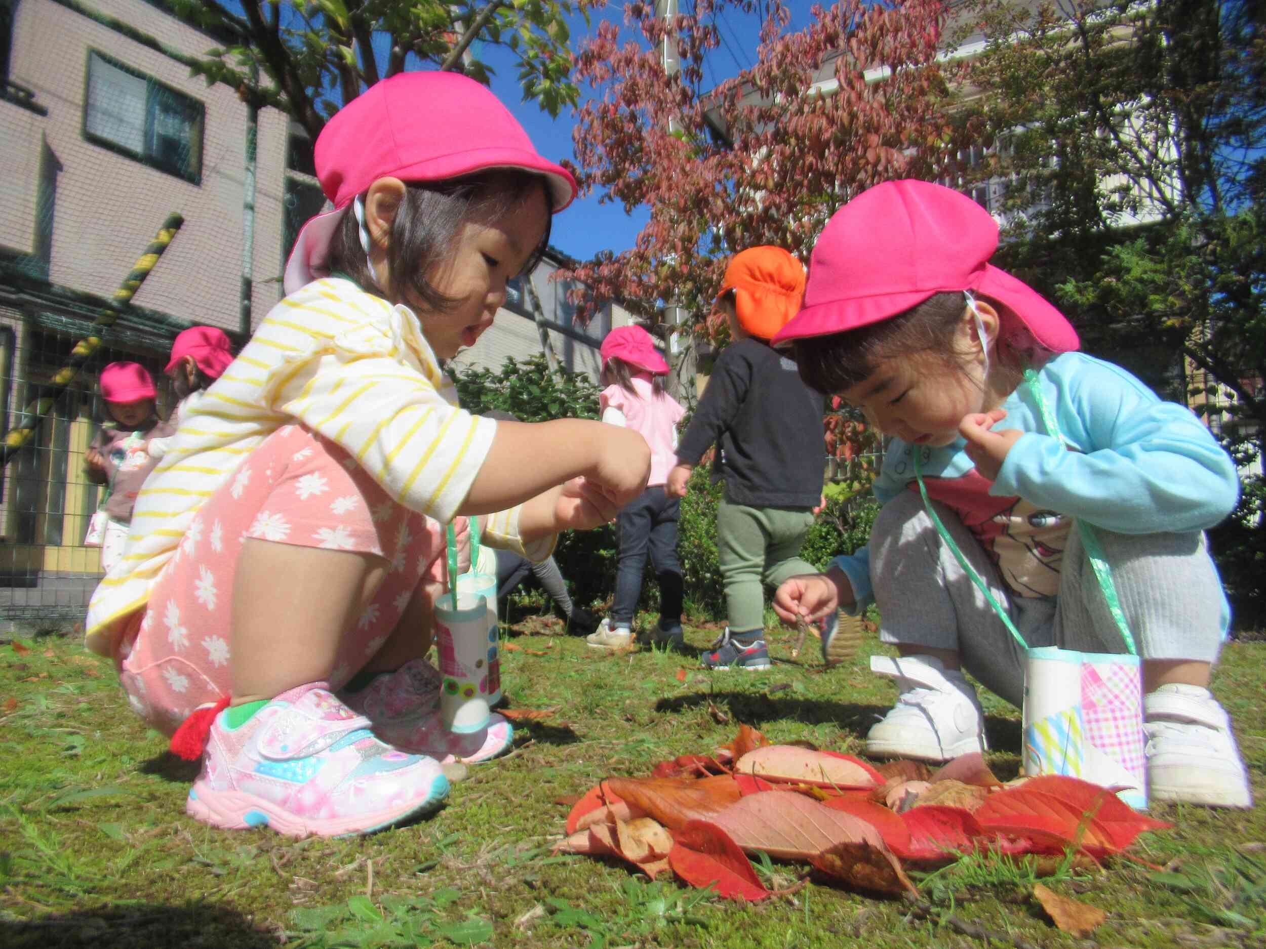 落ち葉拾いに夢中…☆