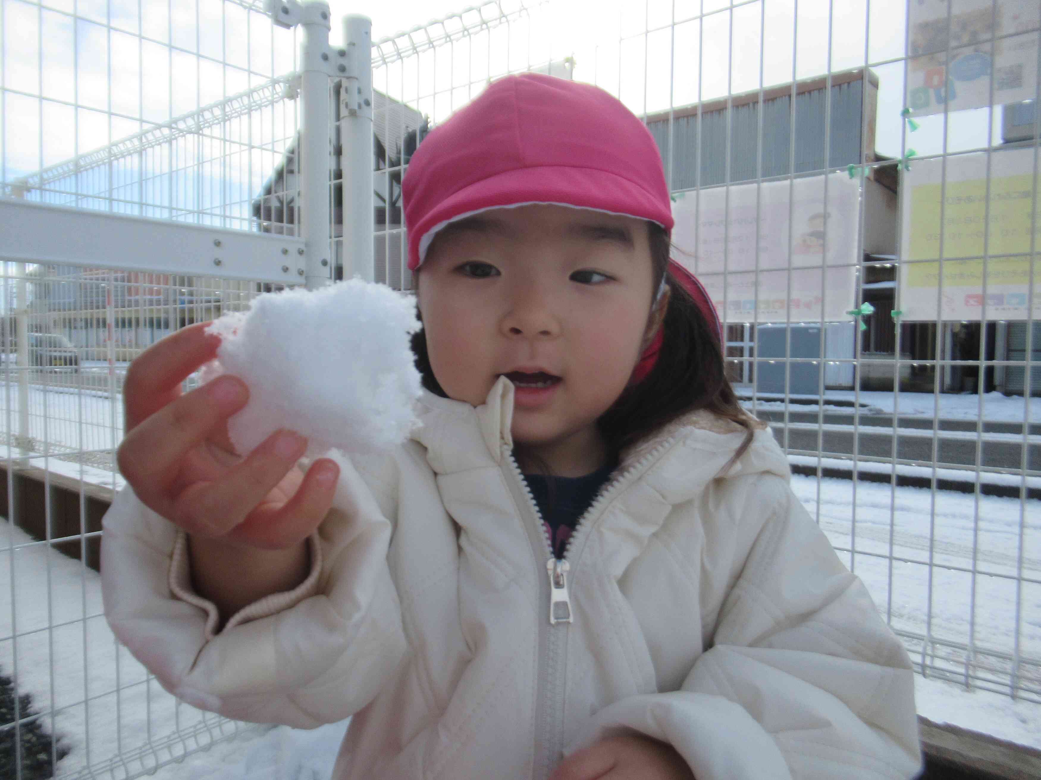 雪が降ってきた☆