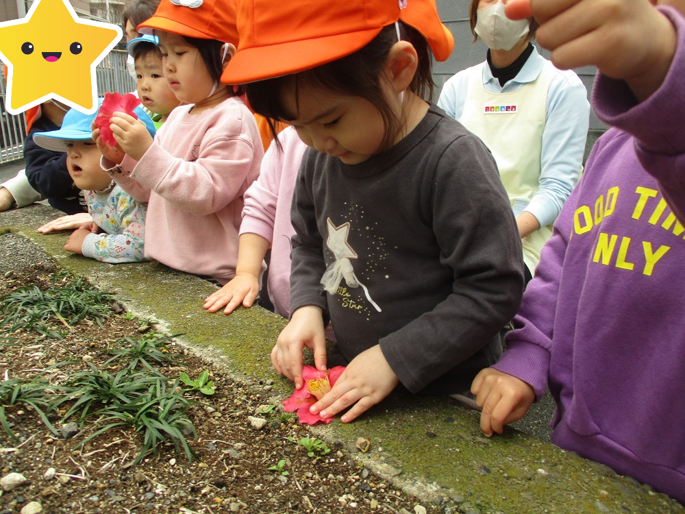 高架下の植えに、椿の花を発見！可愛いね♪