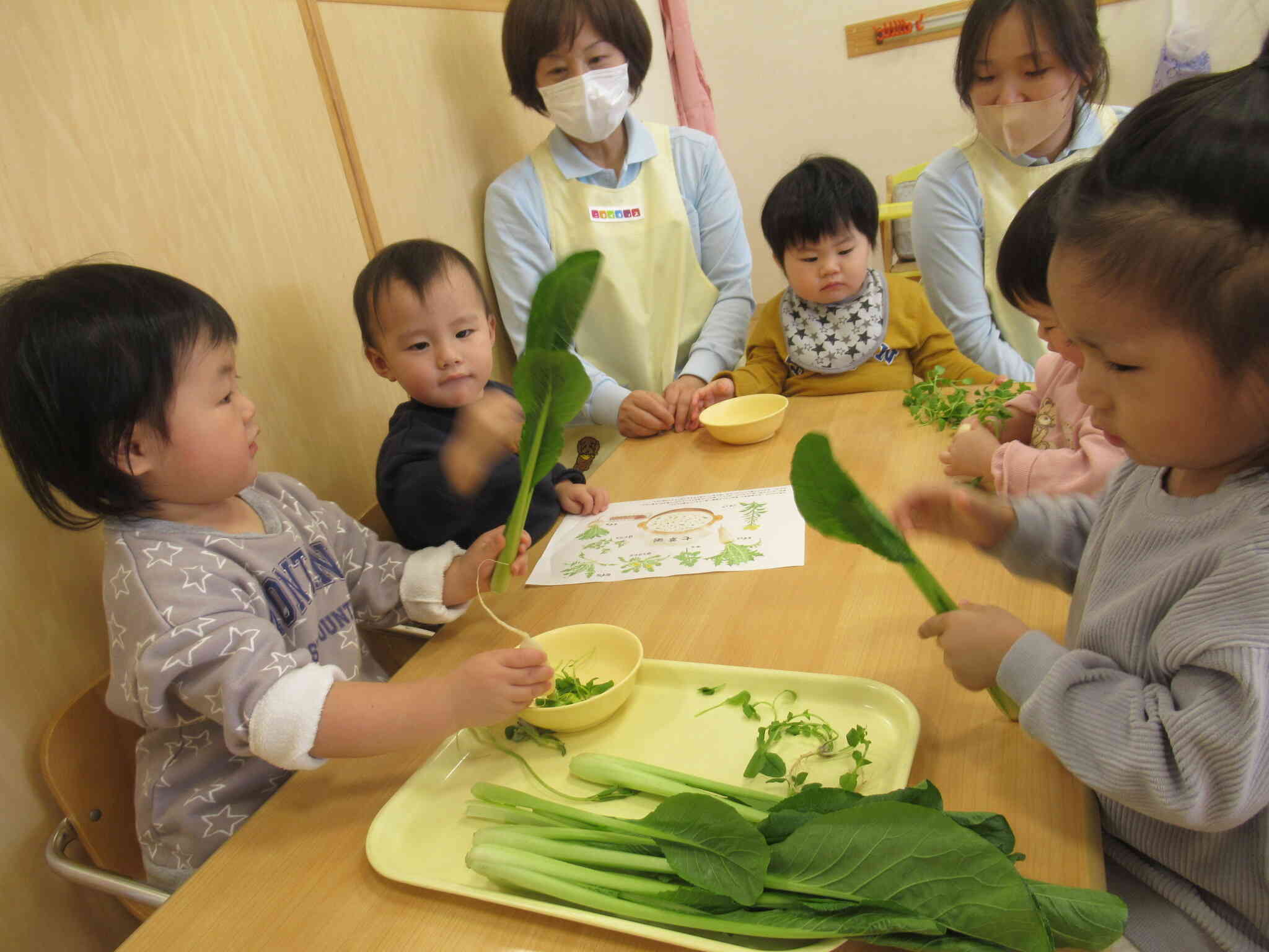 食べられるのかな？