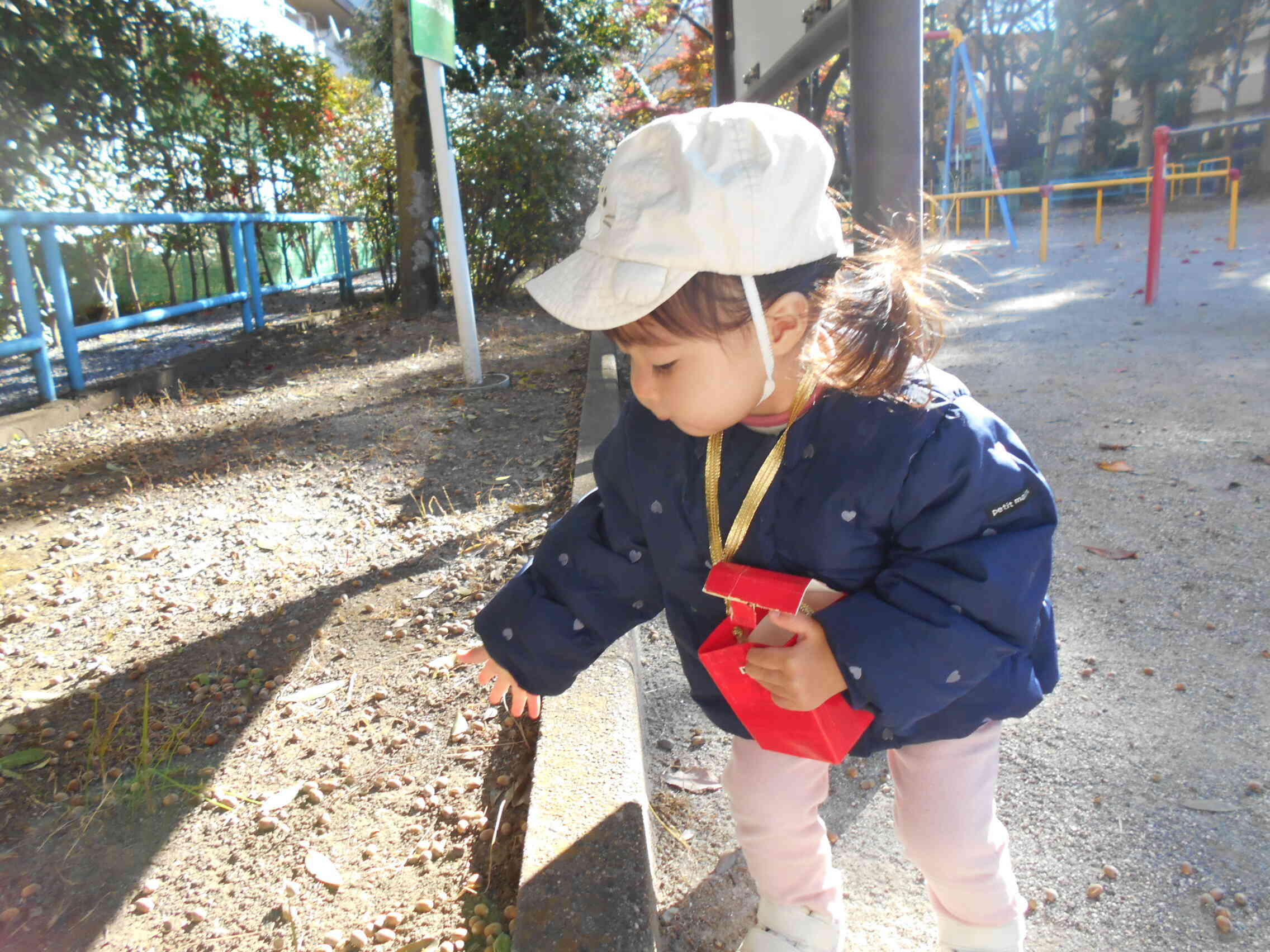 12/6は7丁目公園でどんぐり拾いを楽しみました。