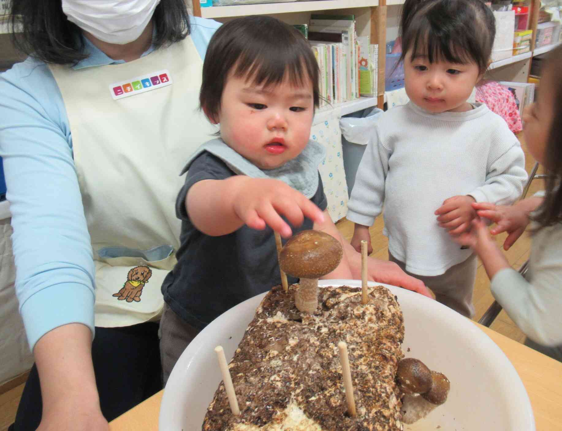 恐る恐る手を伸ばす、うさぎ組（0歳児）さん。