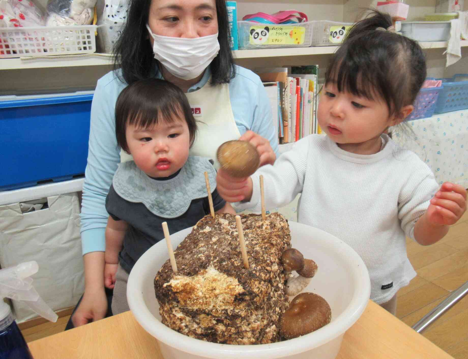 今回の収穫はうさぎ組（0歳児）さんにお願い♪