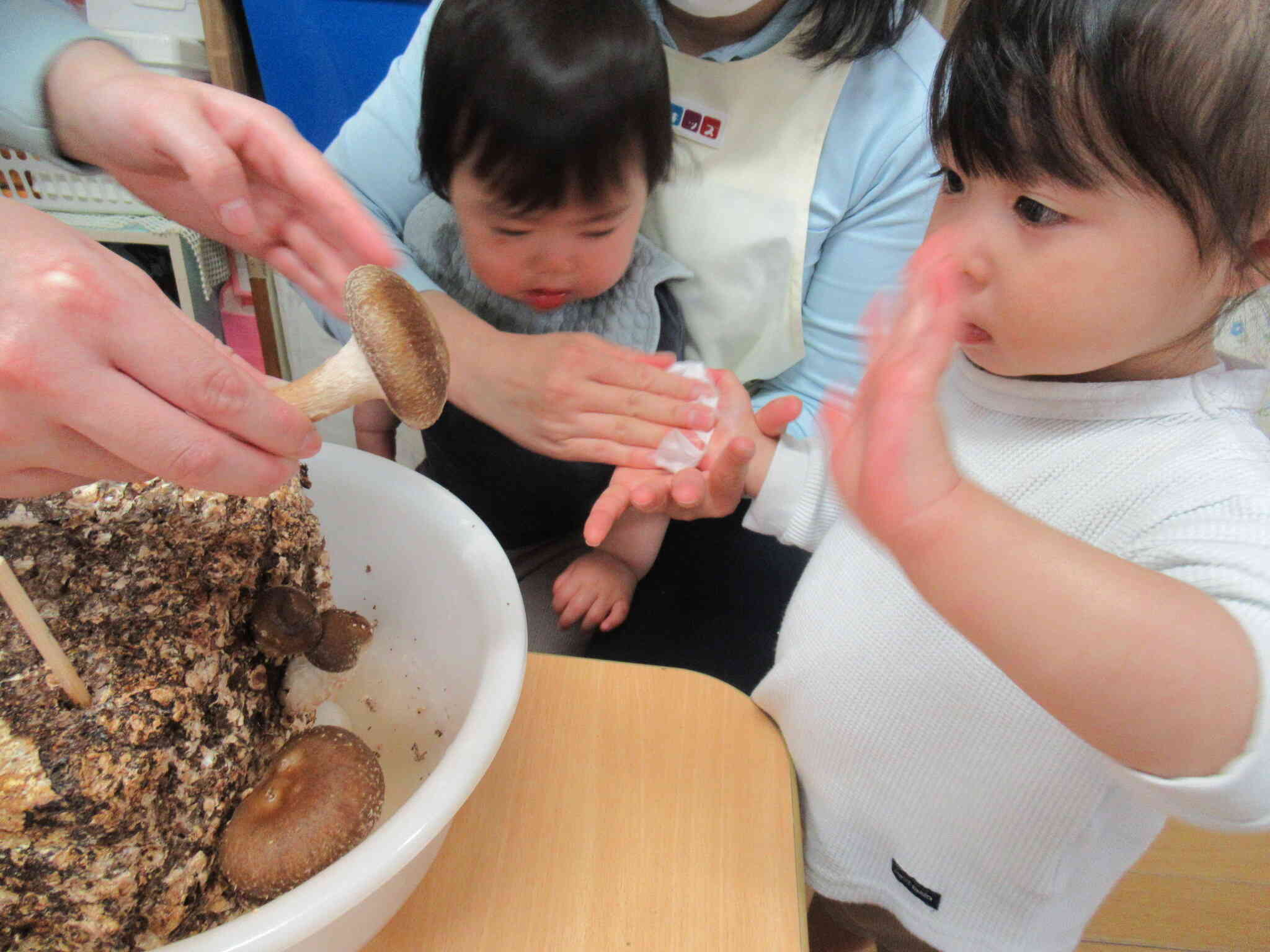 収穫が終わると、きのこに向かって『バイバイ』してくれました☆