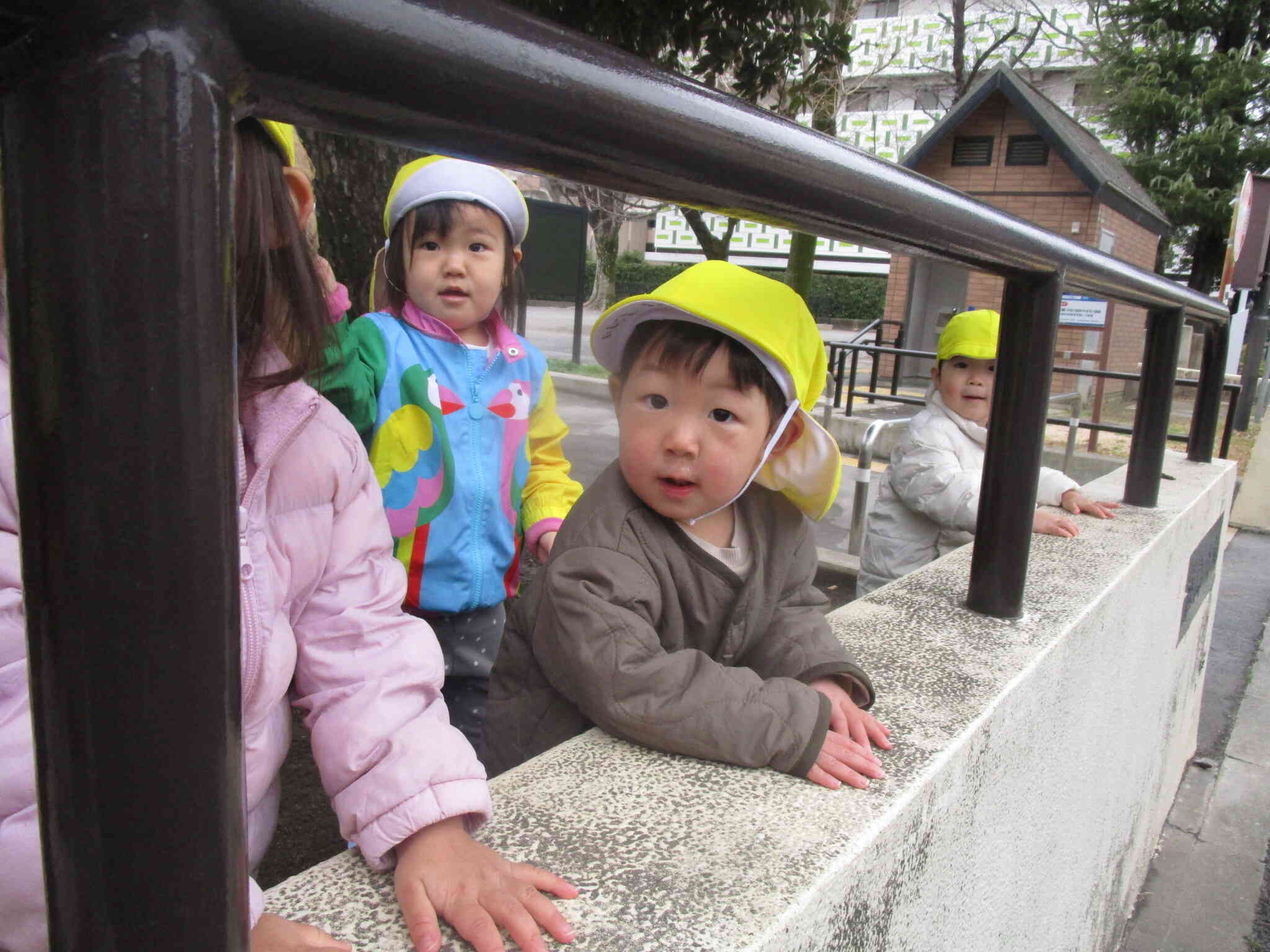 公園から車も見える！