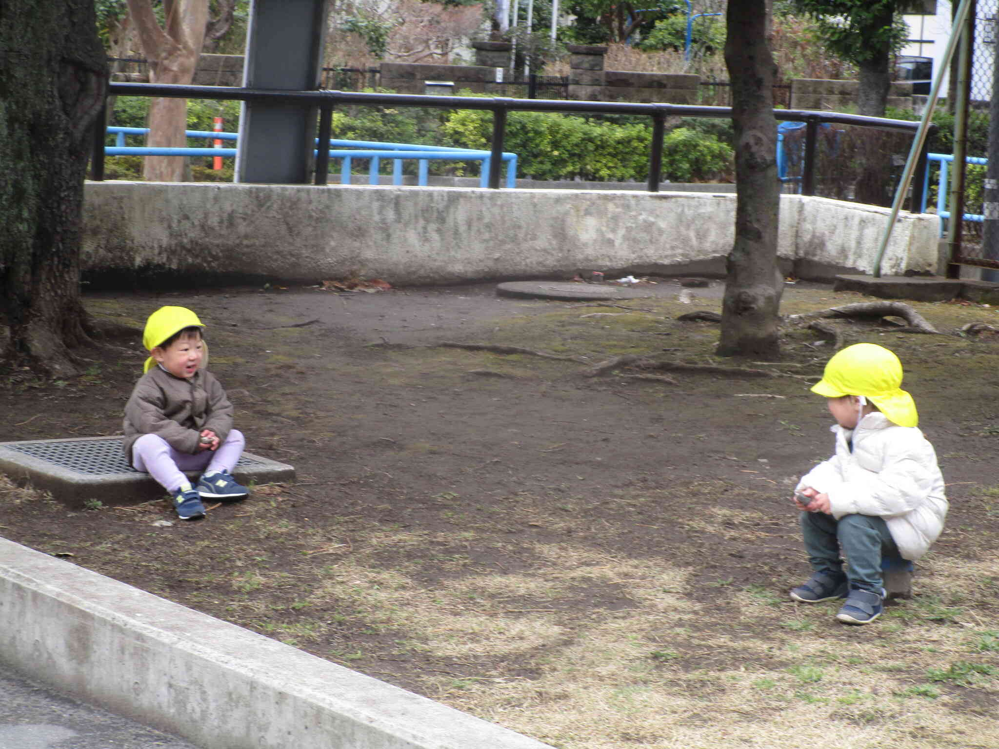 石と排水溝に座りながら休憩中♪お互い見つめ合って何を話しているのかな？