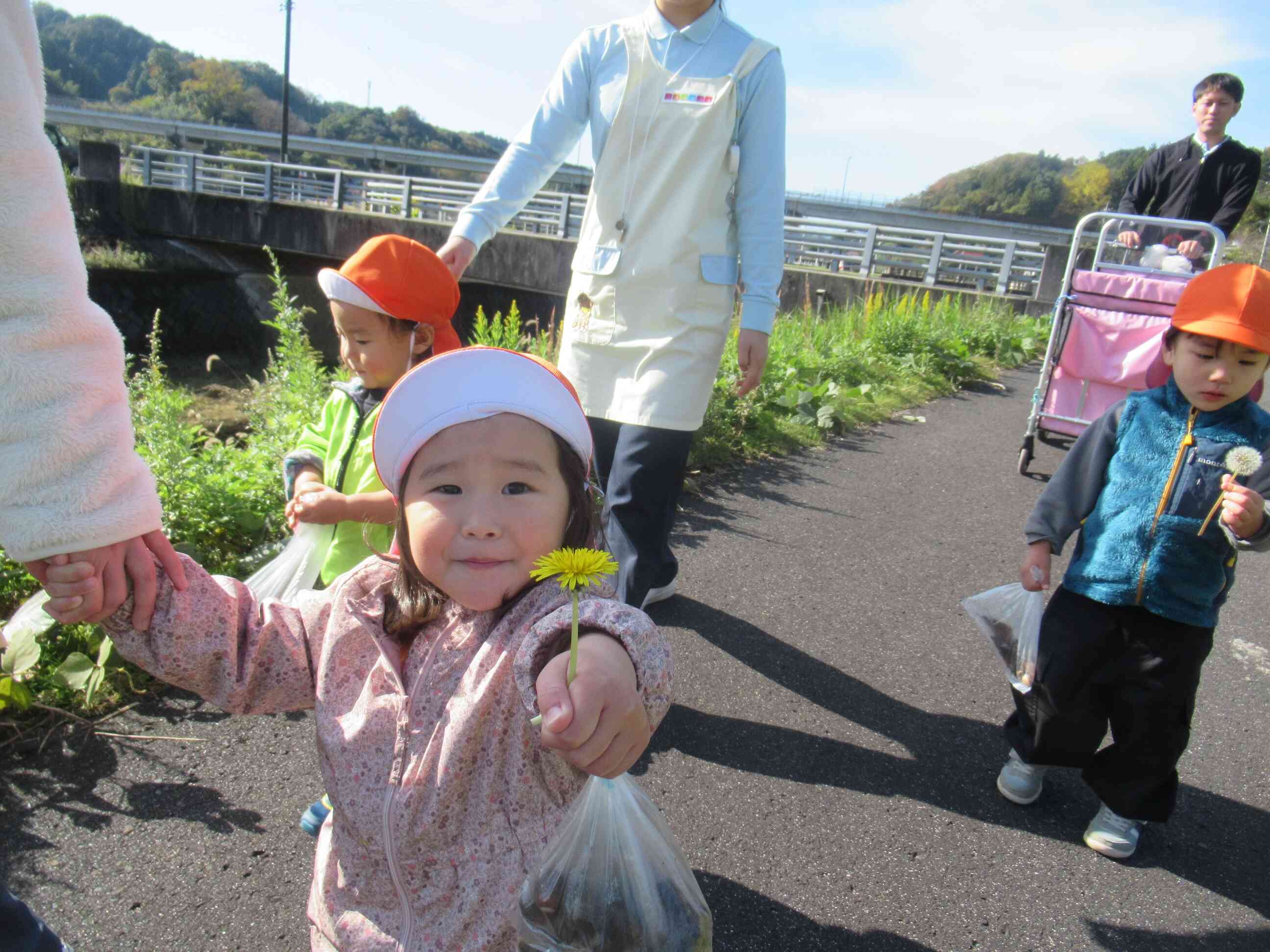 タンポポ見つけたよ。