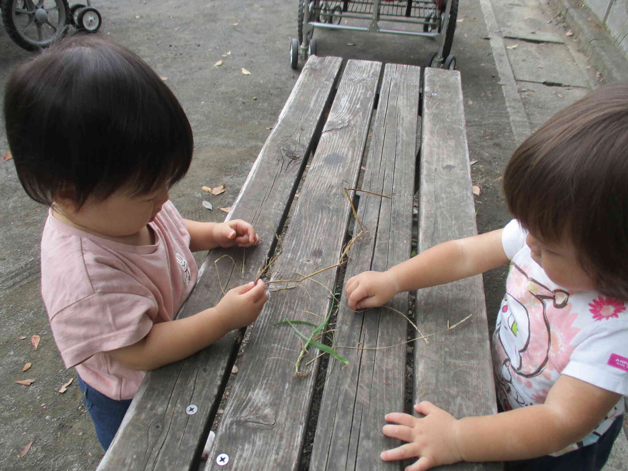 0歳児　ひよこ組　公園☆