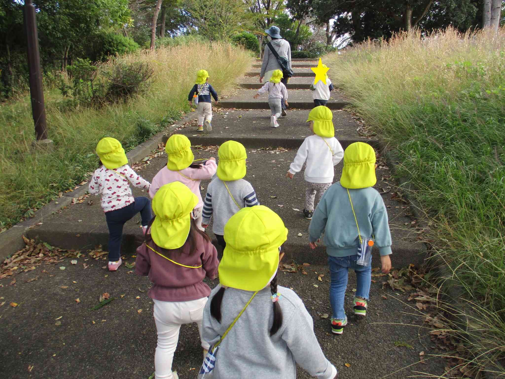 2歳児　うさぎ組　どんぐり探し