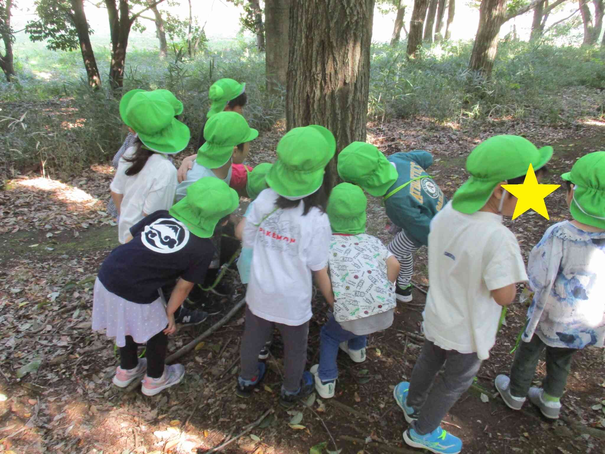 木のところで何かを見つけたようです…