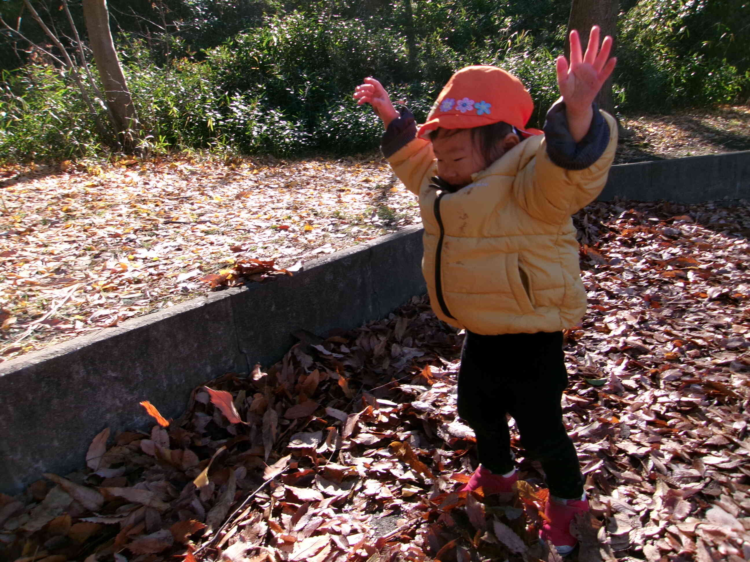 1歳児　あひる組　お散歩