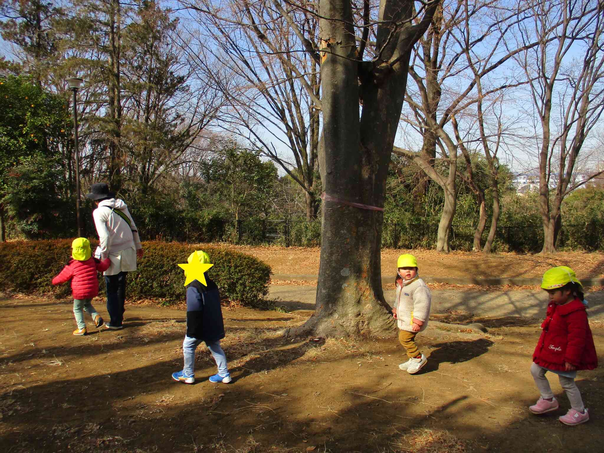 ２歳児　うさぎ組　公園