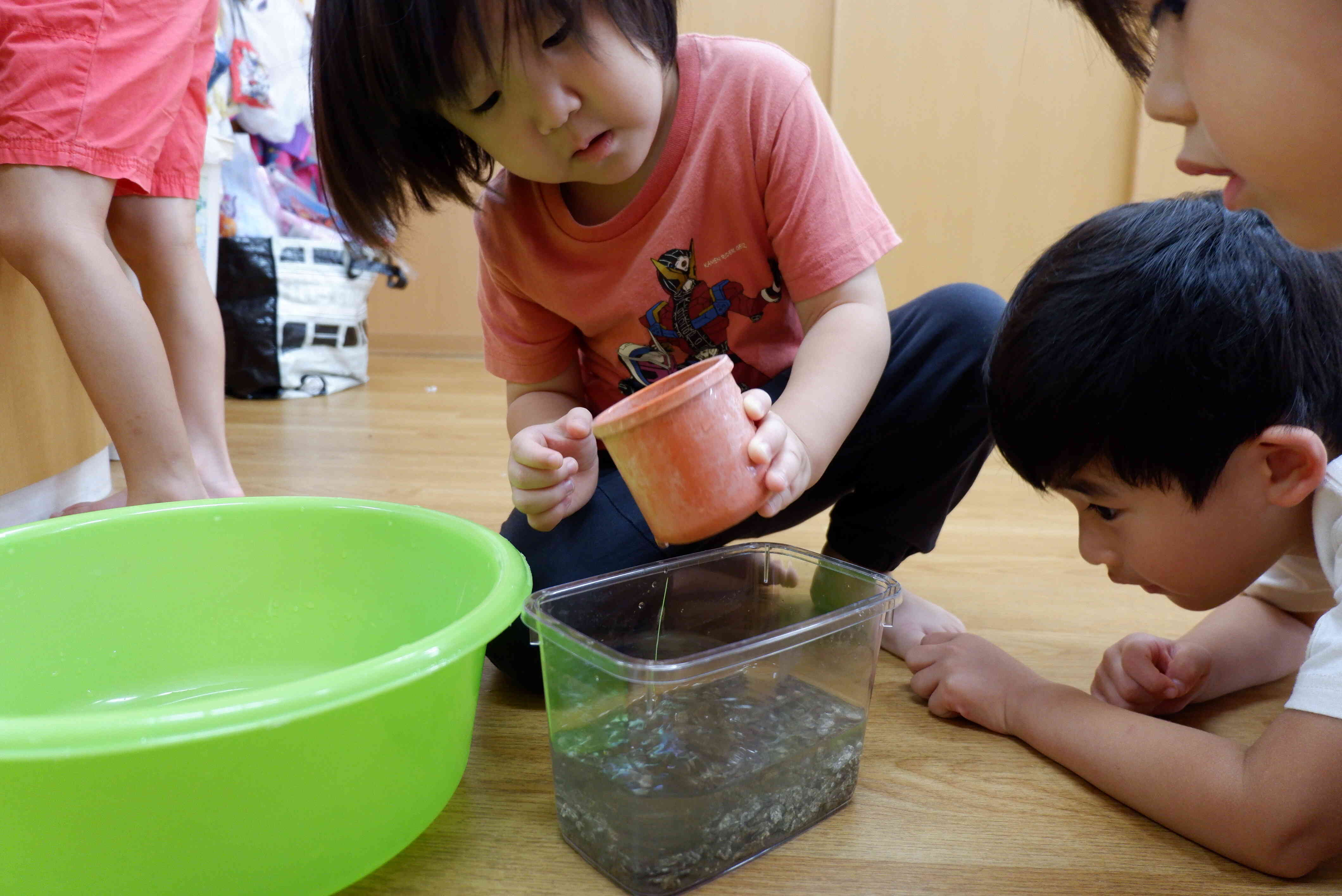 ザリガニ―ズのお家のお掃除