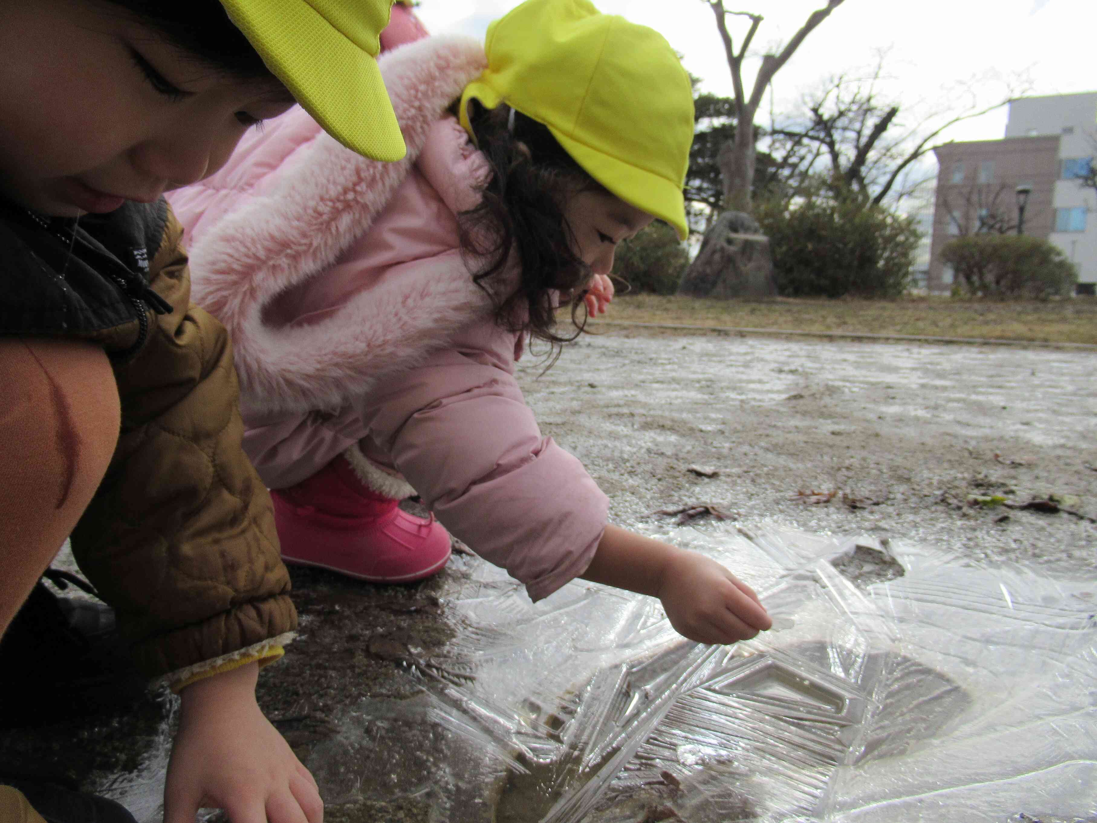 大きな氷、発見！