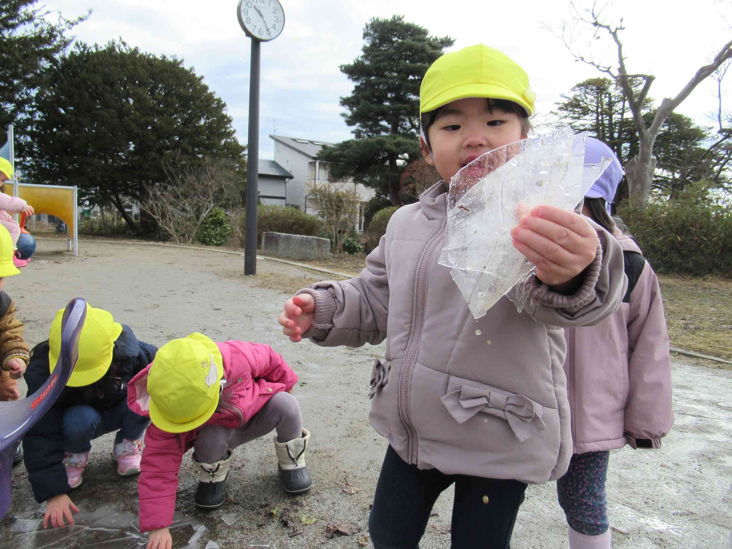 こんなに大きい氷、見つけたよ！