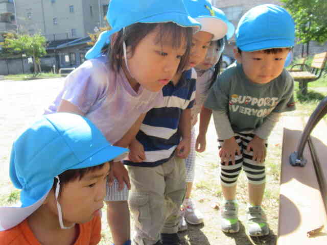 気候が良くなり、近くの公園にお散歩♪バッタを見つけた真剣な眼差しの子どもたちを、写真に収めることができました！