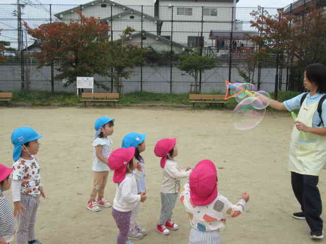 今日は太子堂公園の広場へ来たよ！