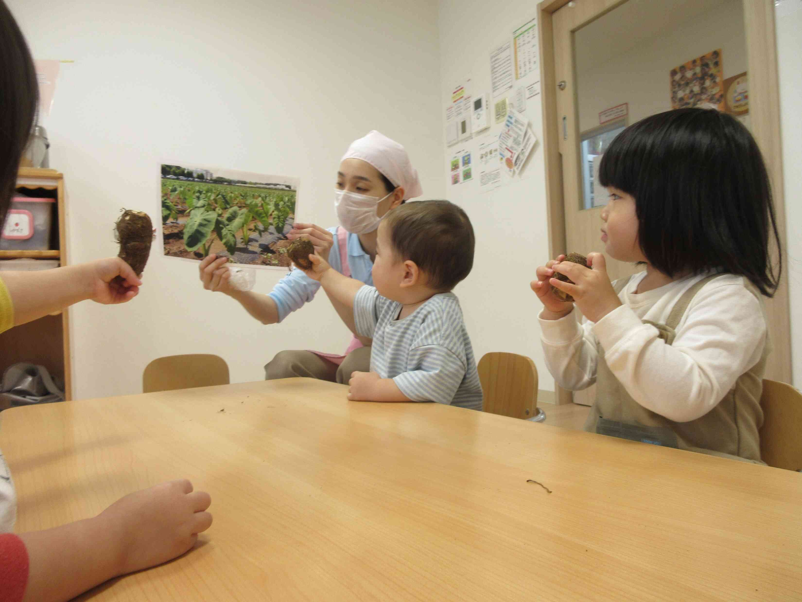 里芋は写真のどこにいるかな？