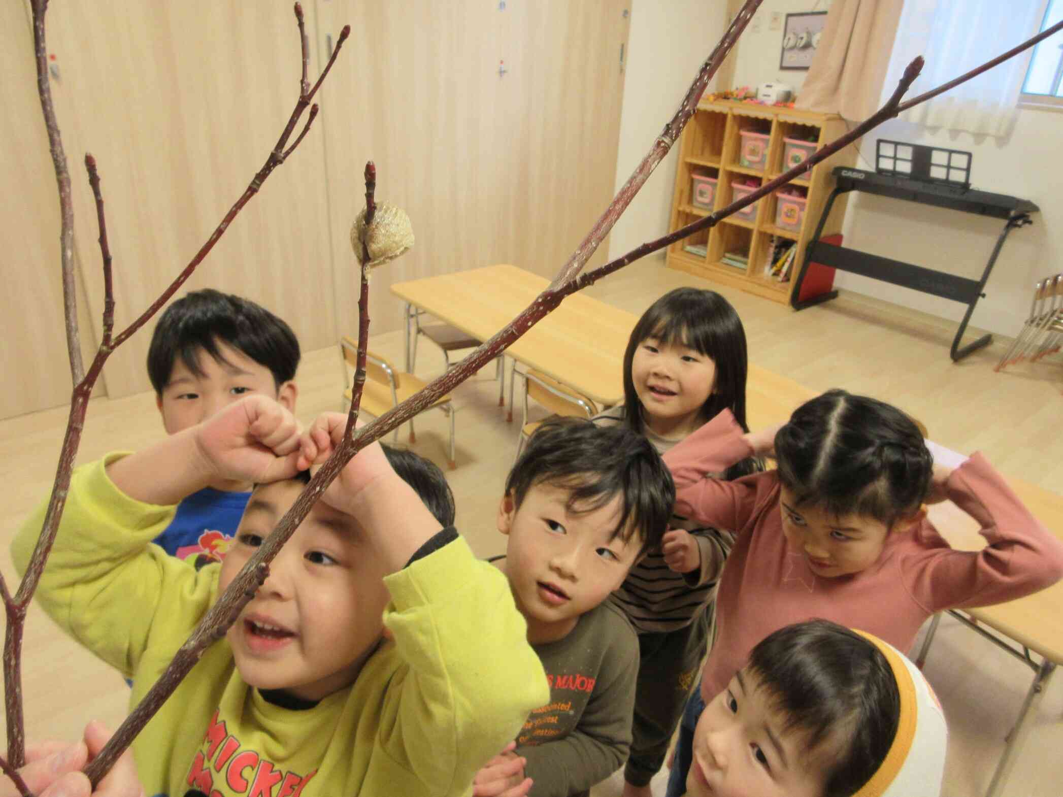 みず木にカマキリの卵がありました！