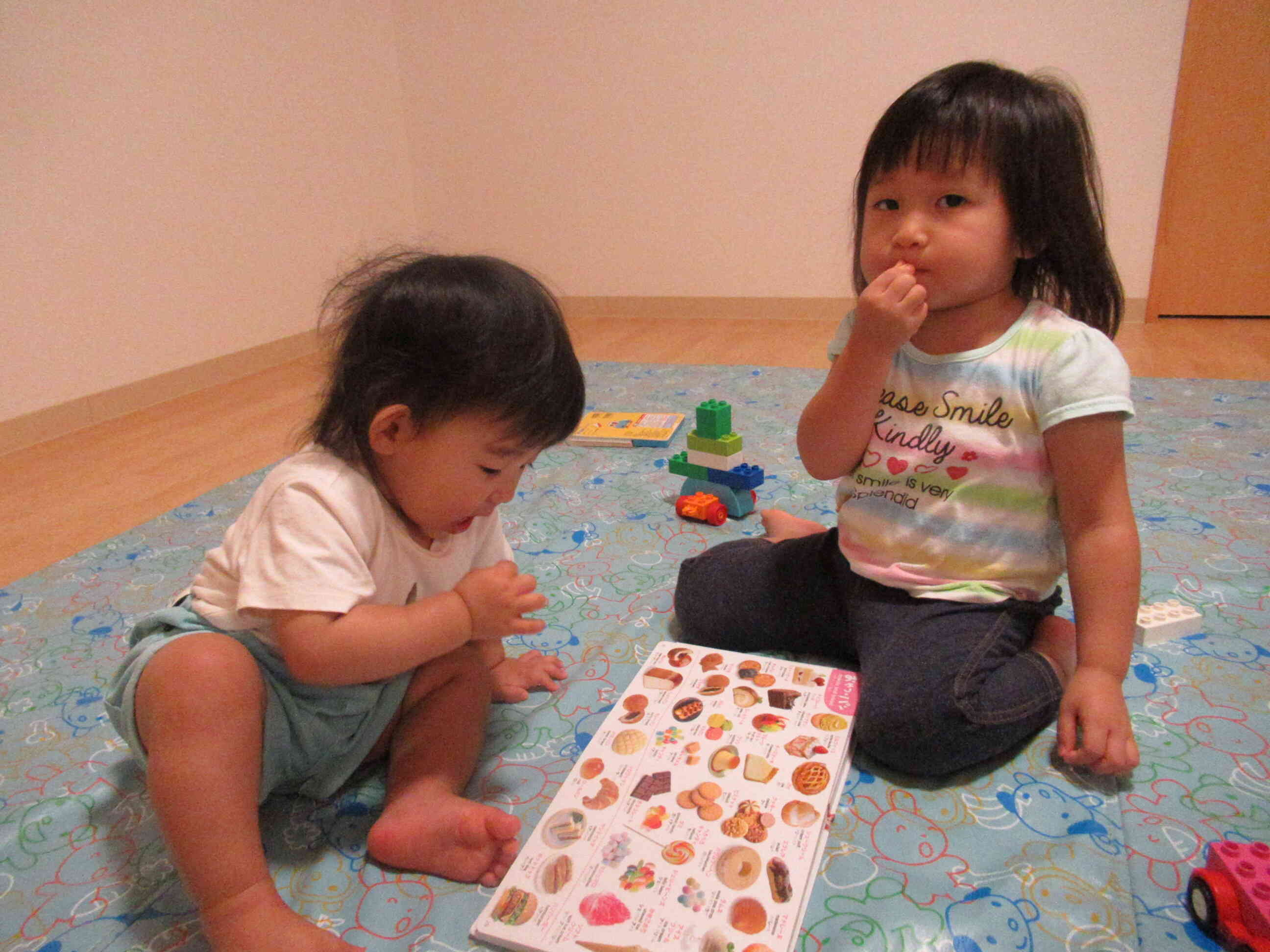 図鑑の食べ物のページがお気に入り♡