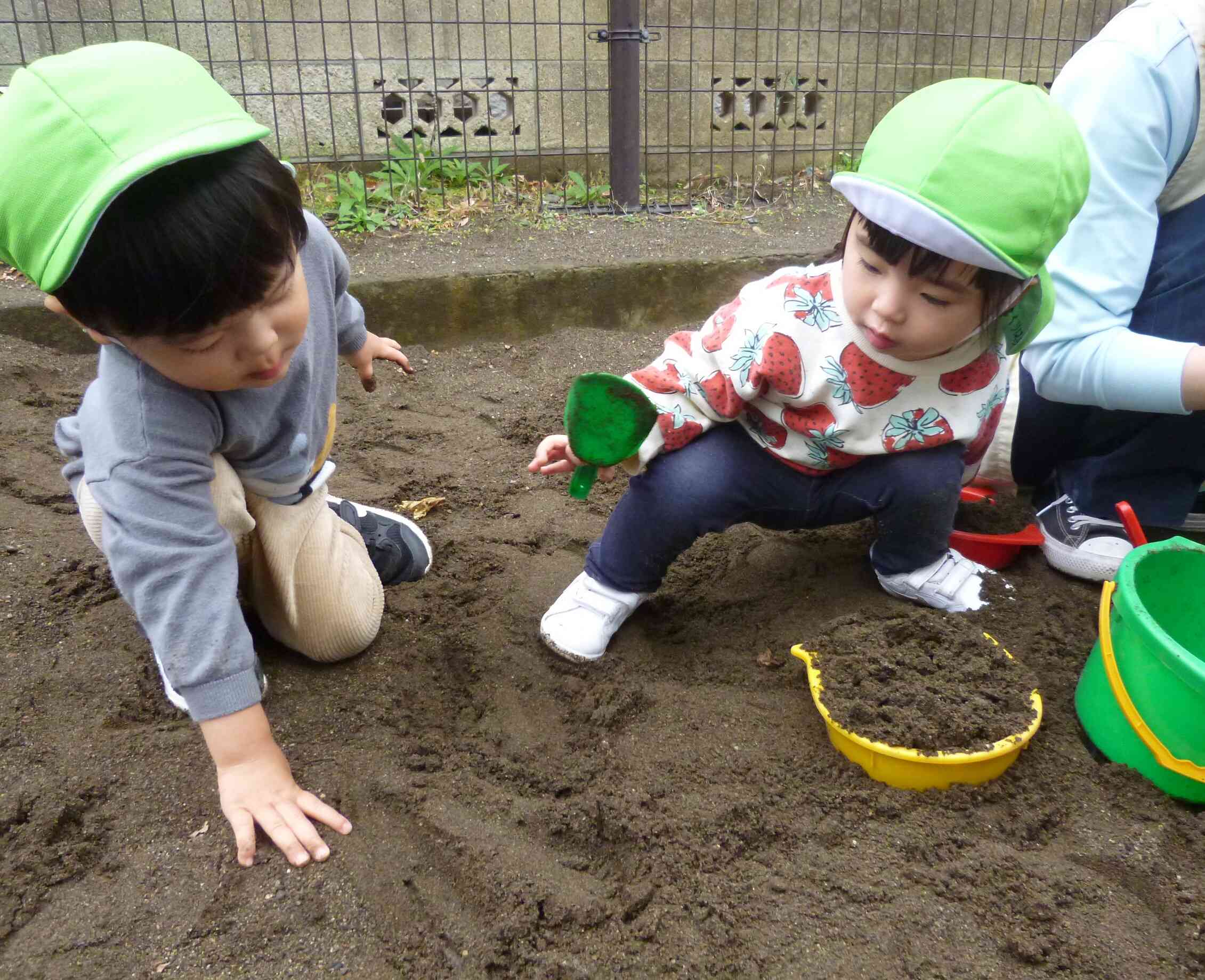 遊び方に変化が見られているよ！