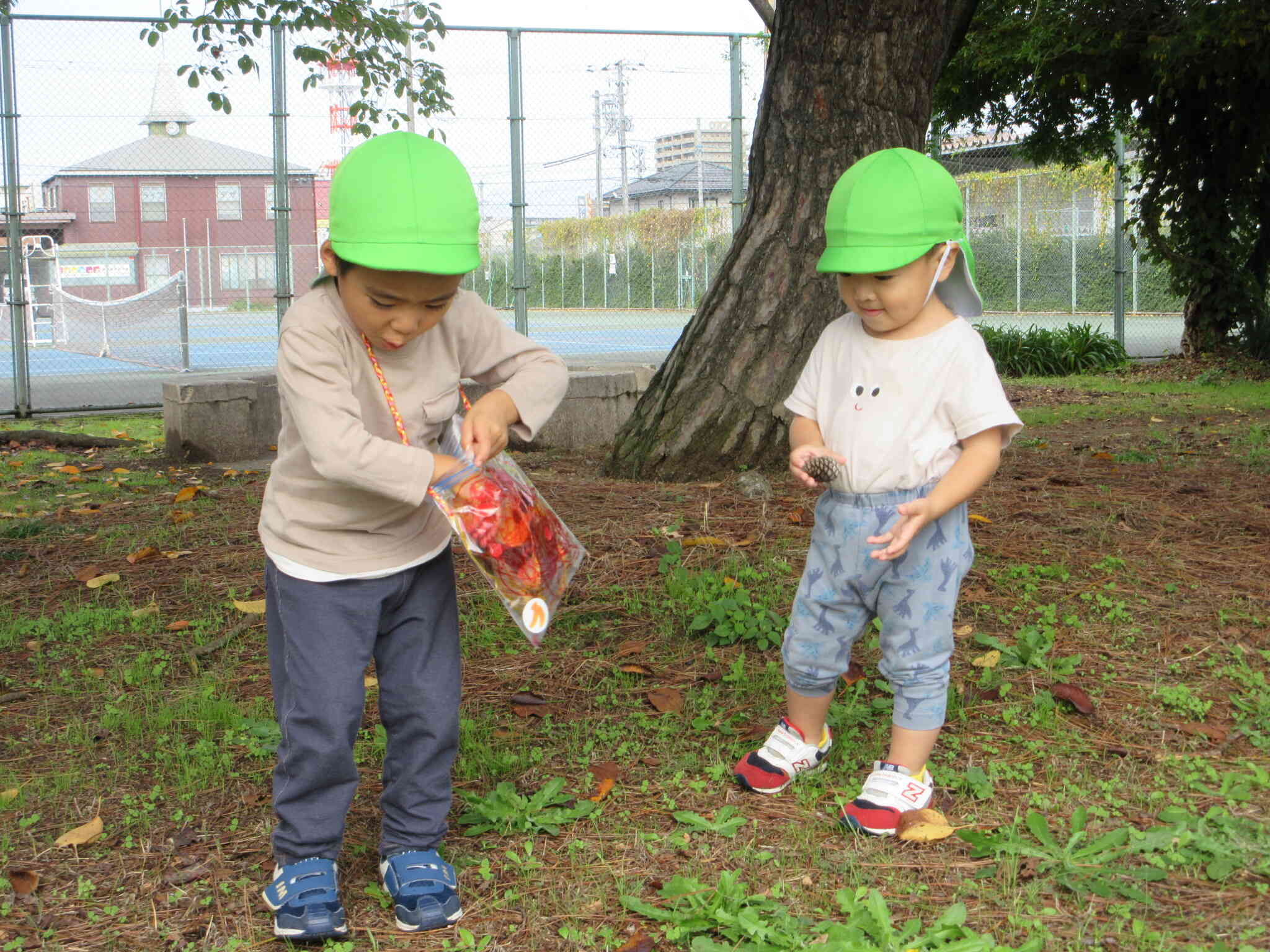 2歳児交流　井原公園に行ったよ(うさぎ組：2歳児)