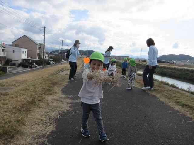 ふわふわしていて面白いもの　みーつけた。