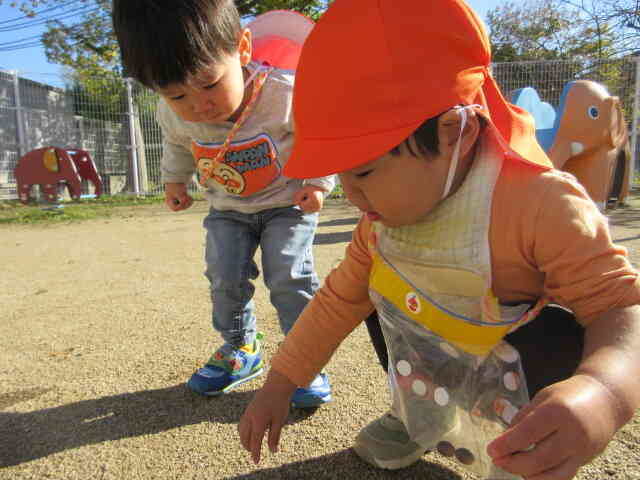 あった！！とTくん。　どんぐり、どこどこ！と探しに来たHくんでした。