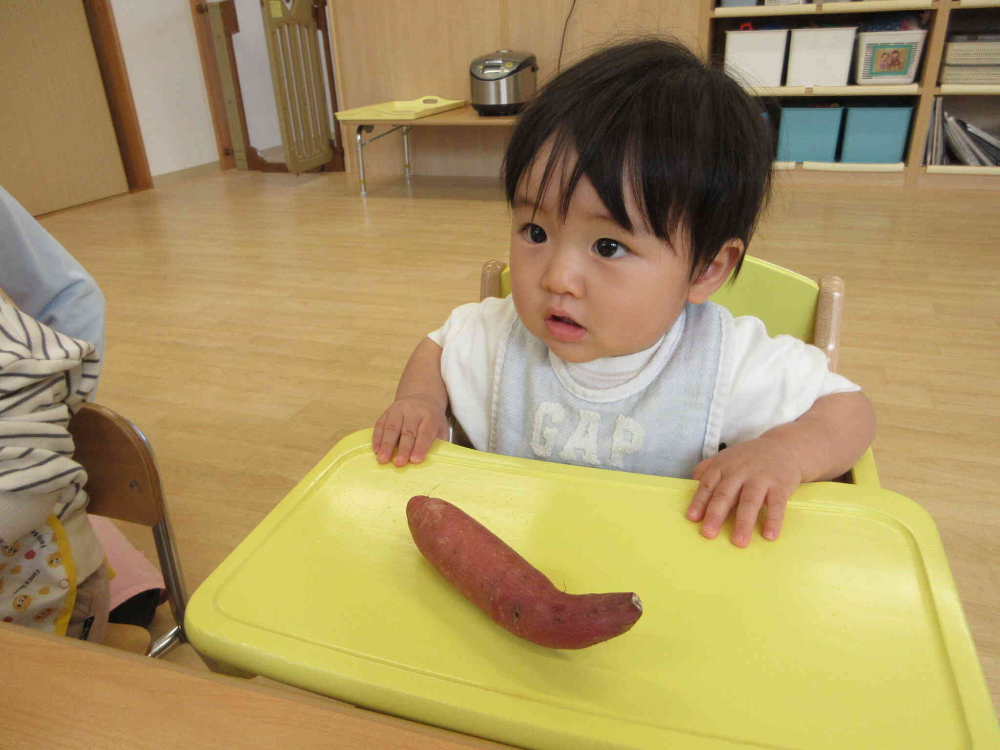 じーっと見つめるひよこ組さん