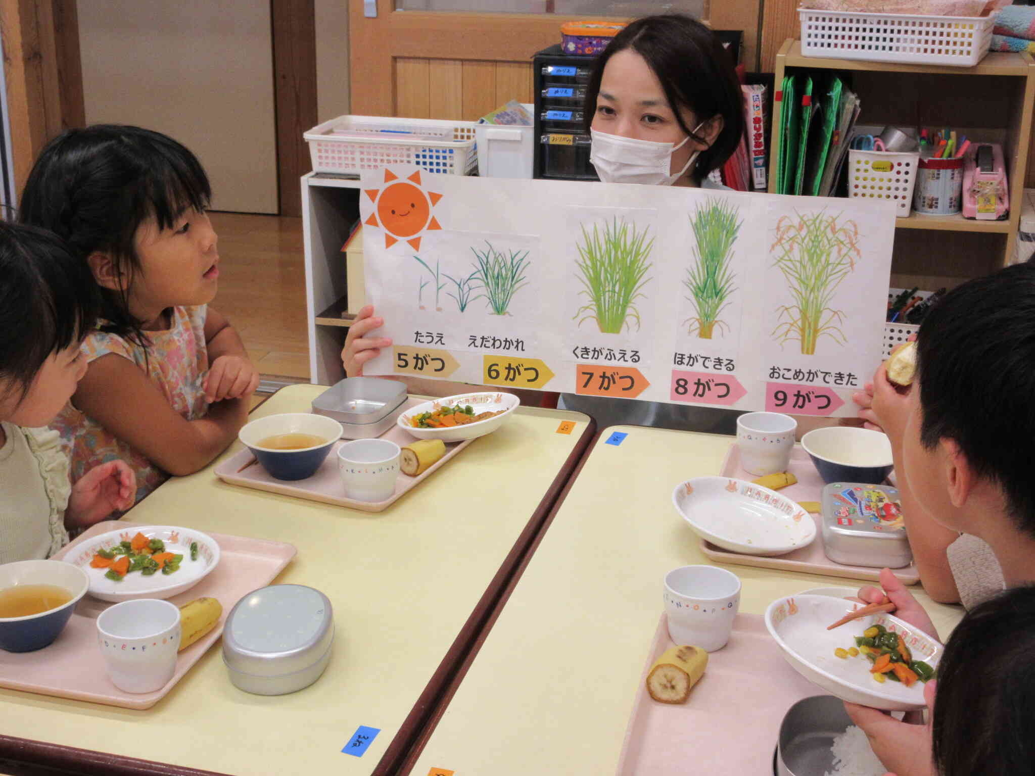 【食育活動】お米ができるまで