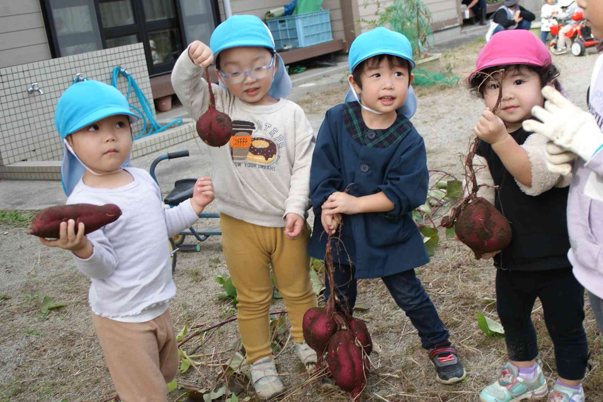 2歳児さん1歳児さんもいもを見せてもらいました