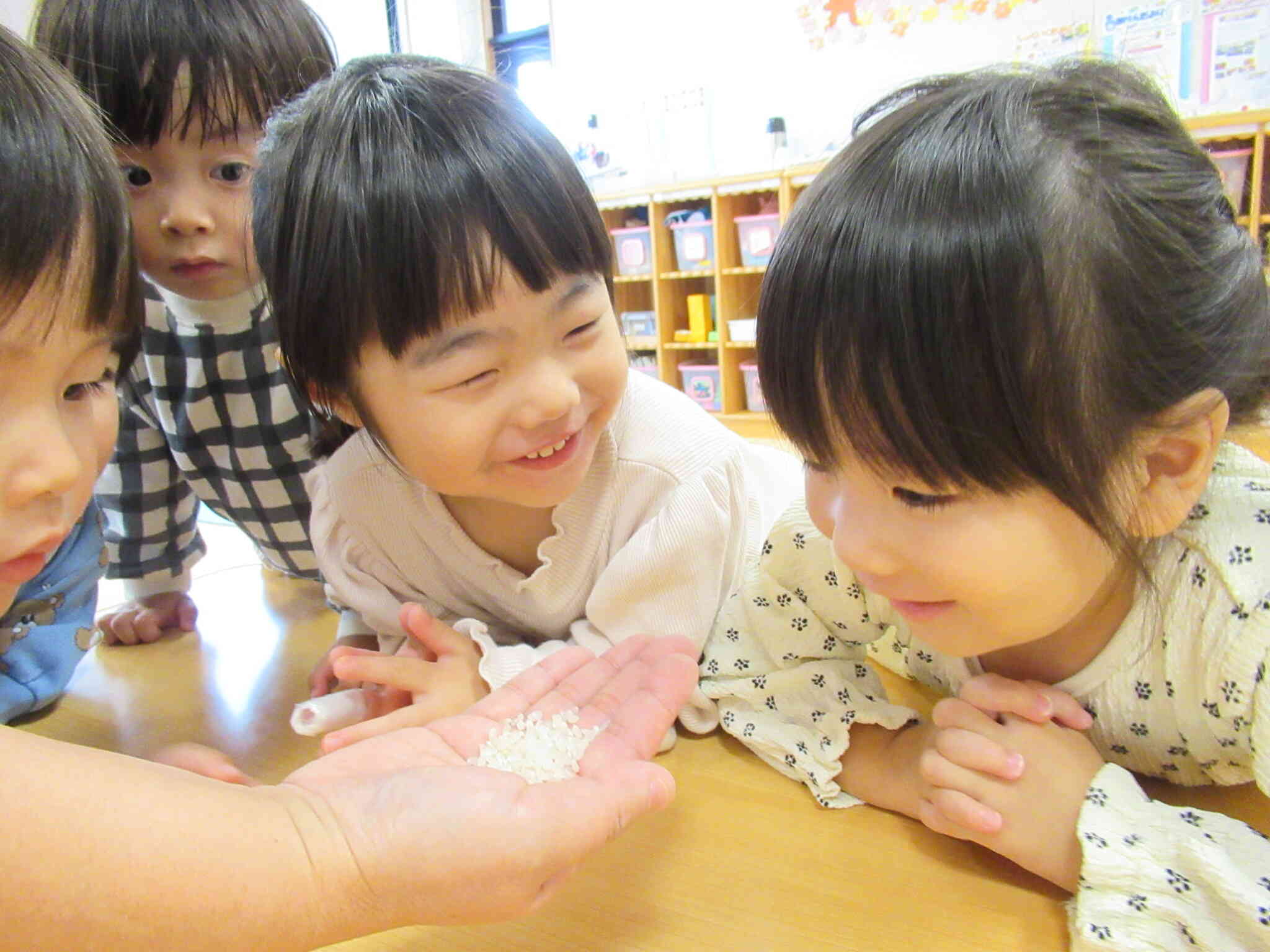 和食の日『おにぎりを作ったよ』（うさぎぐみ～2歳児～）